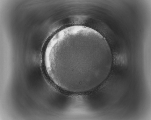 X0000103900726200809261549