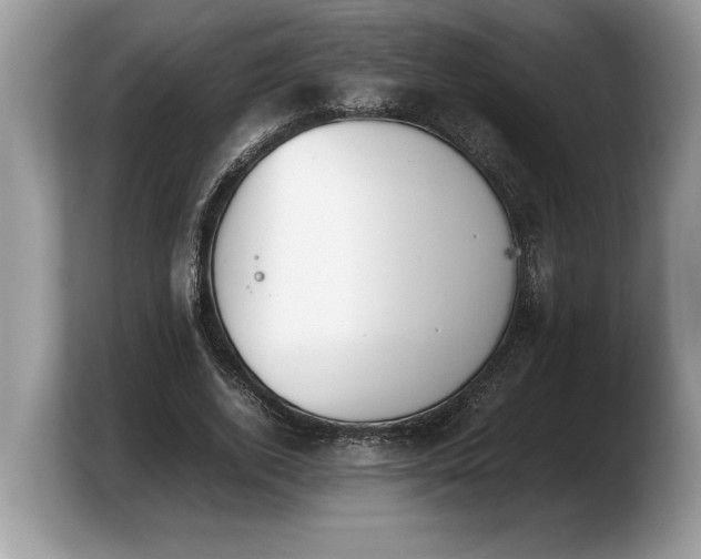 X0000103900728200809261549