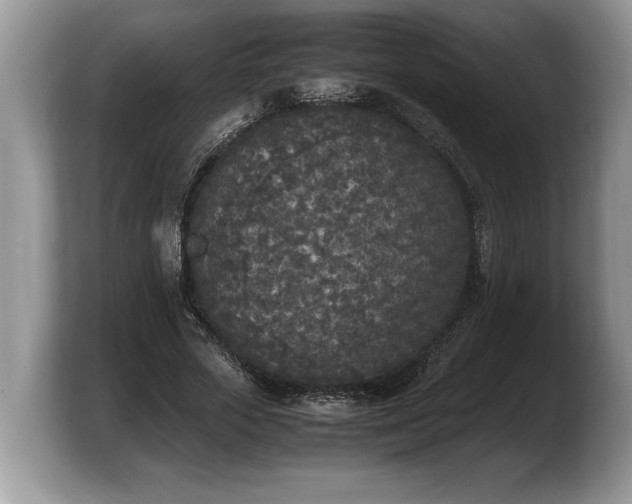 X0000103900729200809261549