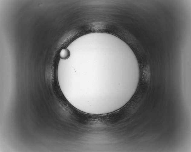 X0000103900732200809261549