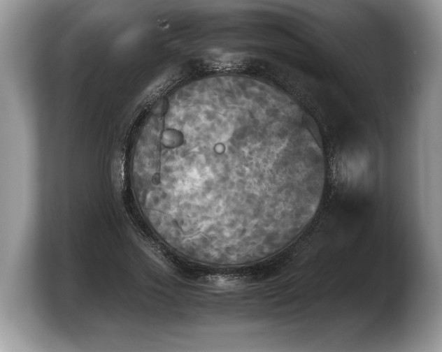 X0000103900733200809261549