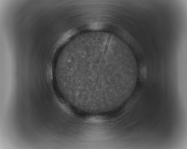 X0000103900734200809261549