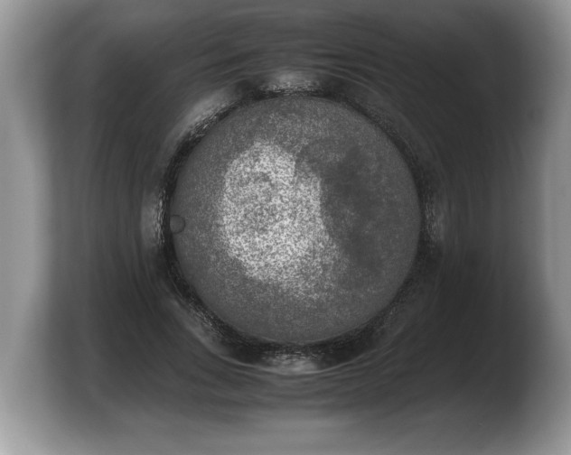 X0000103900735200809261549