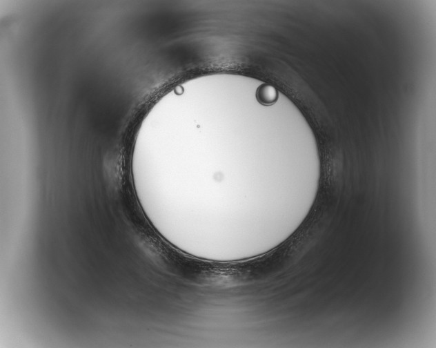X0000103900736200809261549