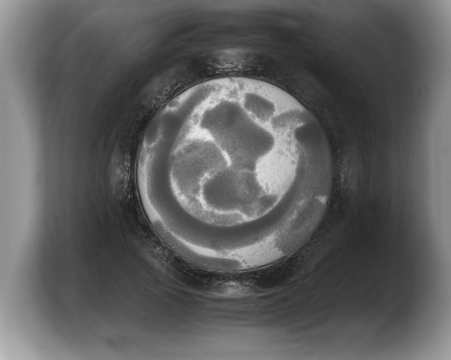X0000103900737200809261549