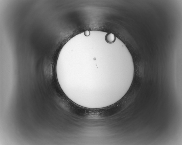 X0000103900740200809261549