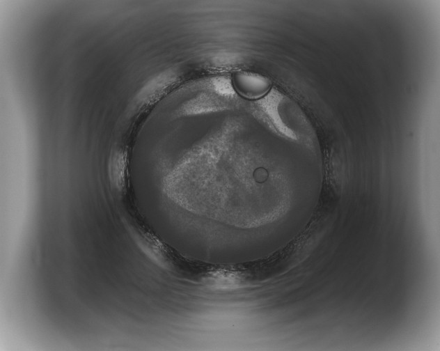 X0000103900742200809261549