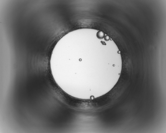 X0000103900744200809261549