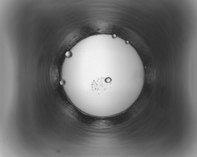 X0000103900748200809261549