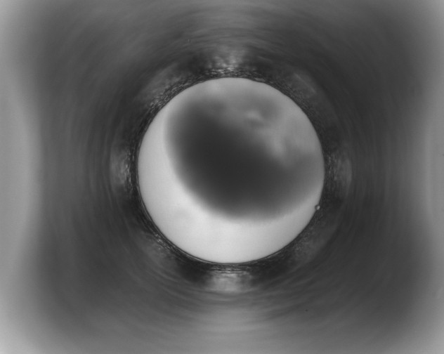 X0000103900754200809261549