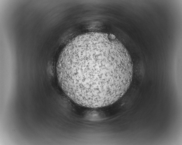 X0000103900755200809261549