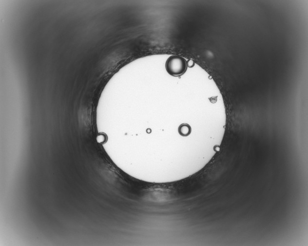 X0000103900756200809261549