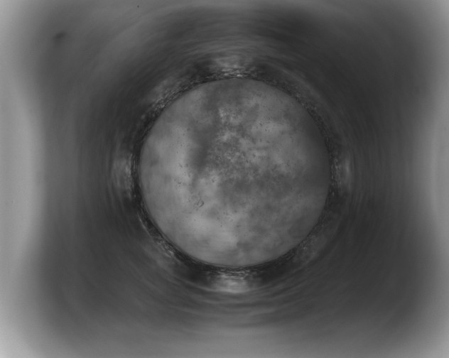 X0000103900757200809261549