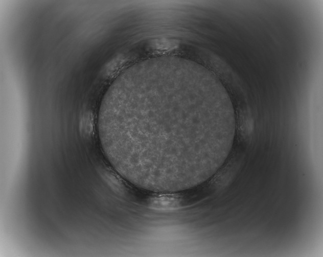 X0000103900758200809261549