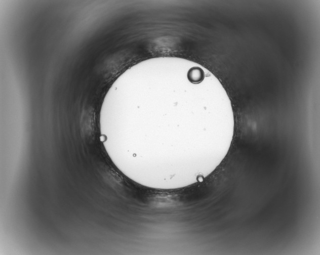 X0000103900760200809261549
