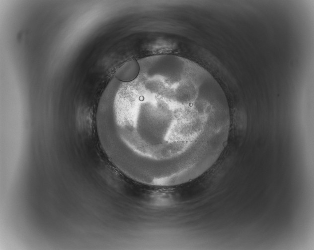 X0000103900761200809261549