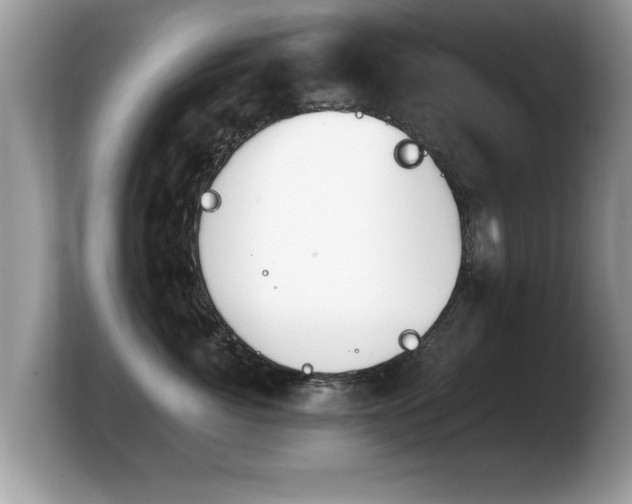 X0000103900764200809261549