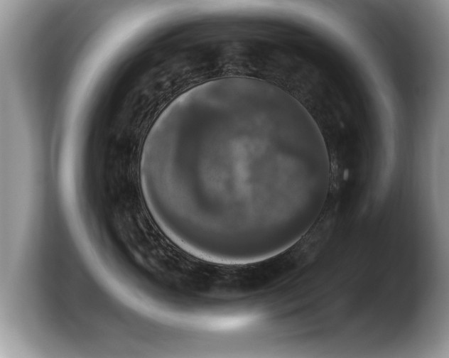 X0000103900765200809261549