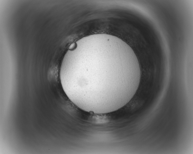 X0000103900767200809261549