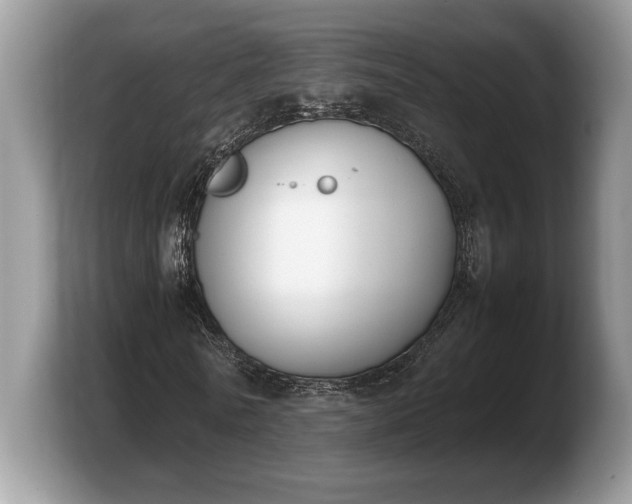 X0000103900770200809261549