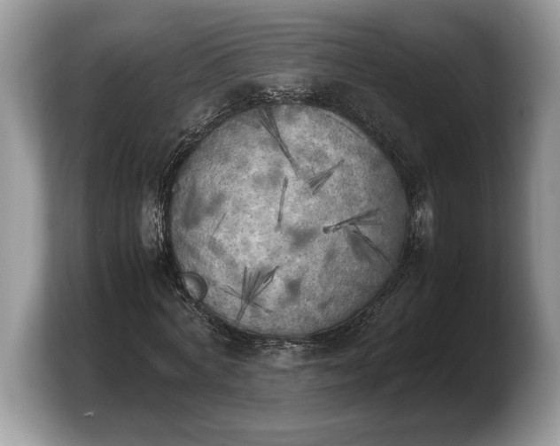 X0000103900772200809261549