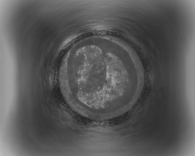 X0000103900775200809261549