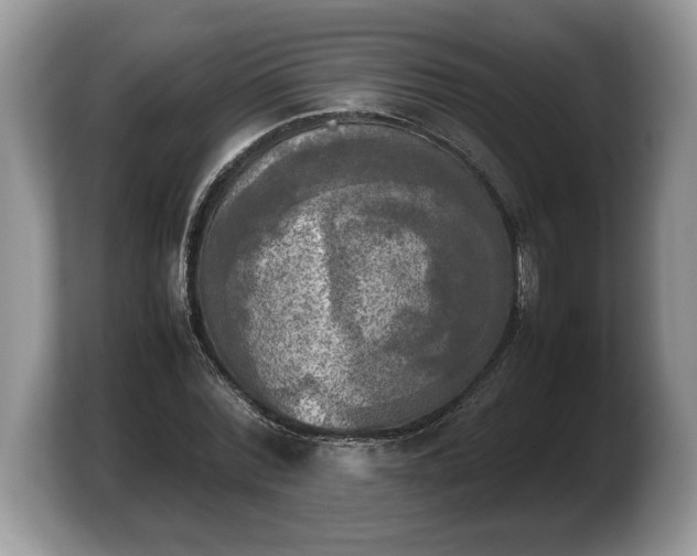 X0000103900780200809261548
