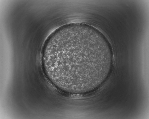 X0000103900783200809261548