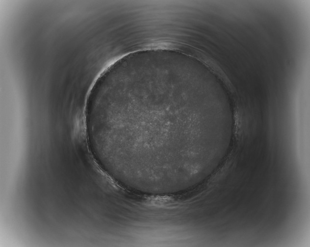 X0000103900784200809261548