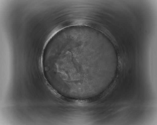 X0000103900788200809261548