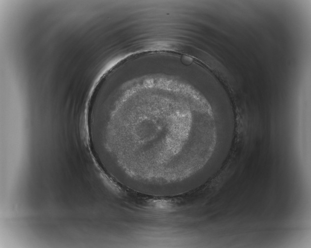 X0000103900792200809261548