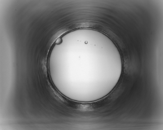 X0000103900794200809261548