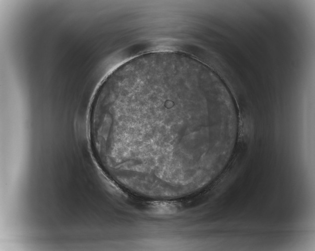 X0000103900795200809261548