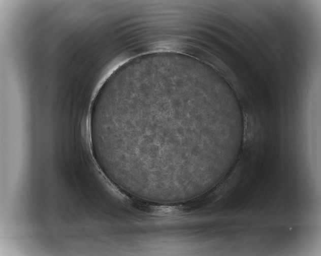X0000103900796200809261548