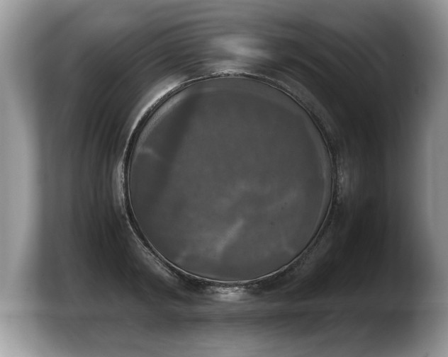 X0000103900798200809261548