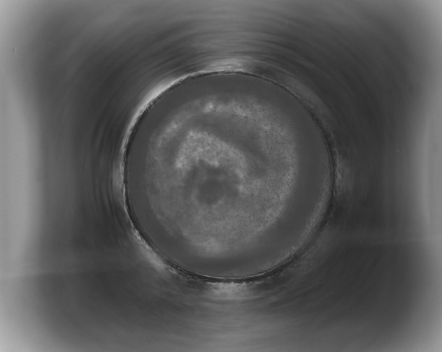 X0000103900800200809261548