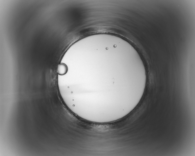 X0000103900801200809261548