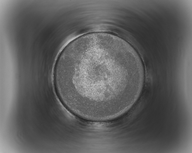 X0000103900803200809261548