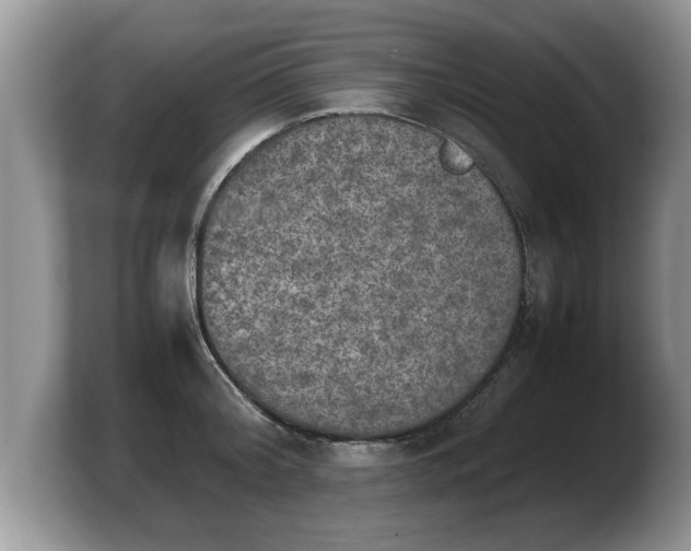 X0000103900804200809261548