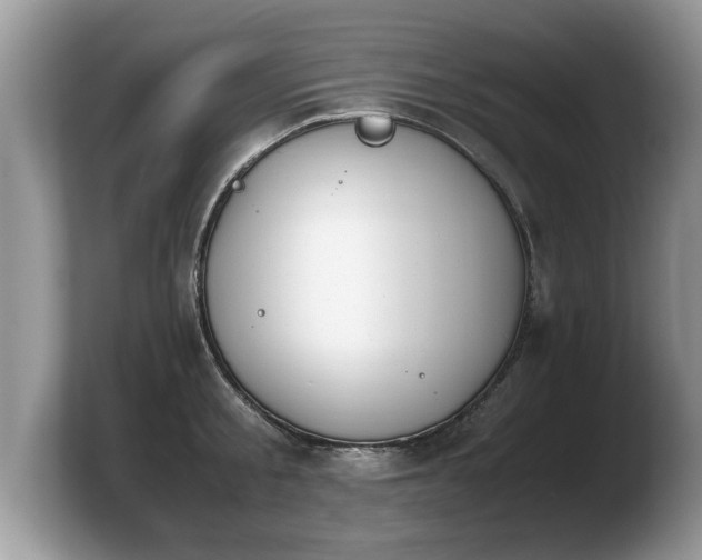 X0000103900805200809261548