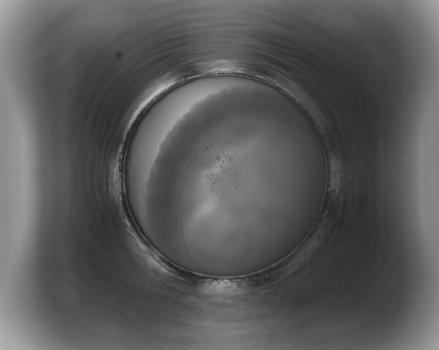 X0000103900806200809261548