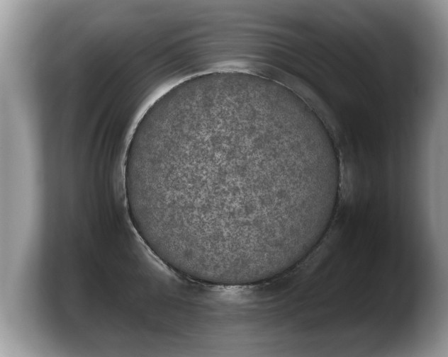 X0000103900808200809261548