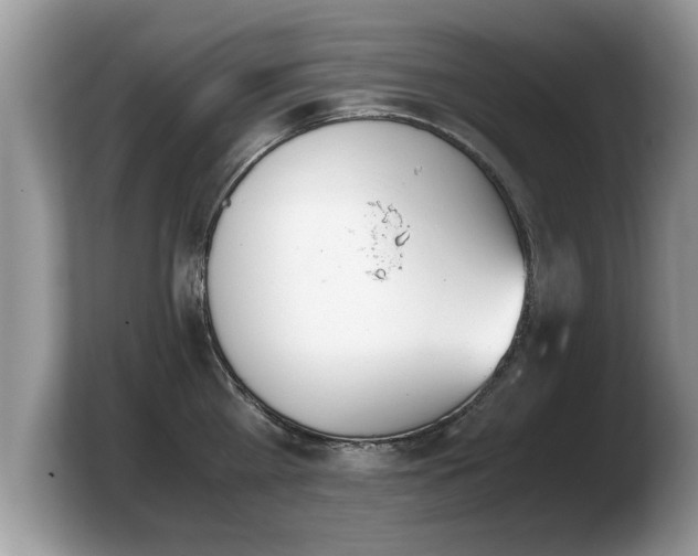 X0000103900809200809261548
