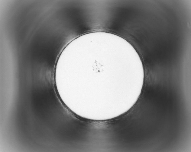 X0000103900810200809261548