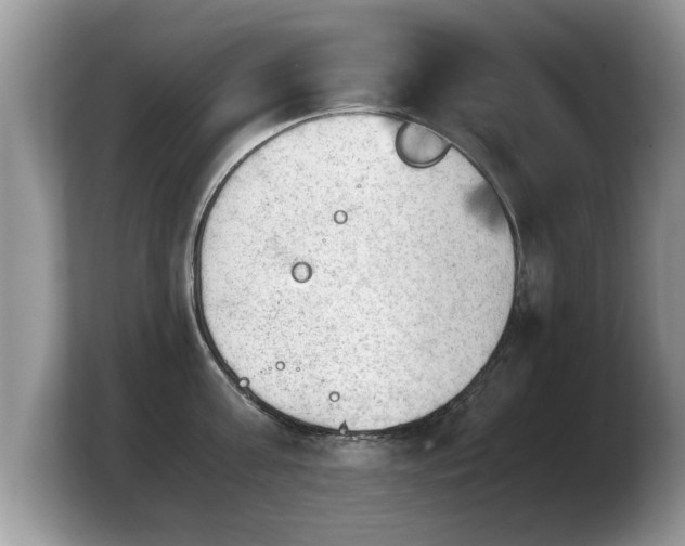 X0000103900811200809261548