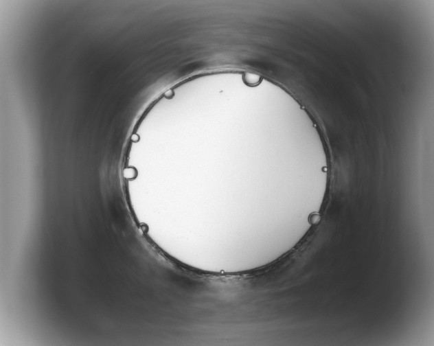 X0000103900813200809261548