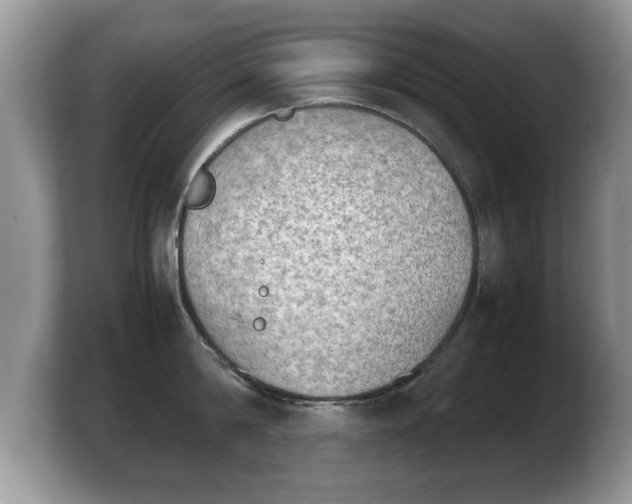 X0000103900814200809261548