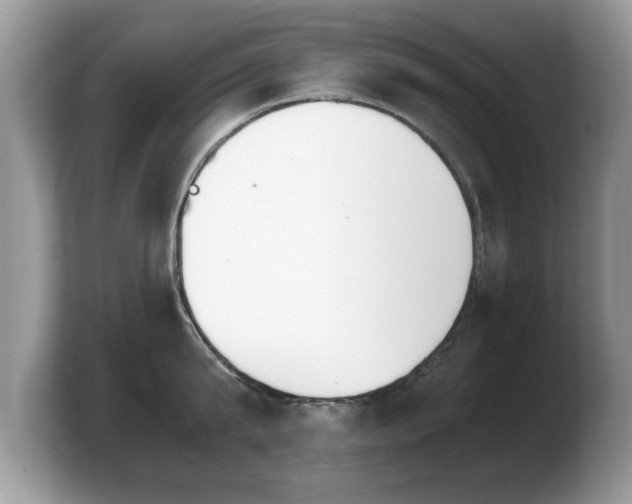 X0000103900815200809261548