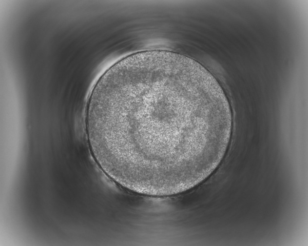 X0000103900816200809261548