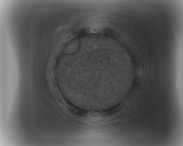 X0000103900817200809261547